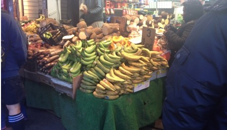 Plantain Magic La Galeria Magazine